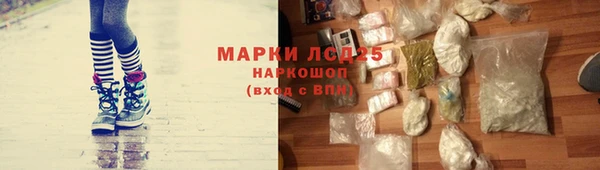 гашик Мегион