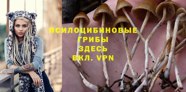 гашик Мегион