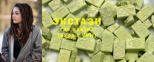 гашик Мегион