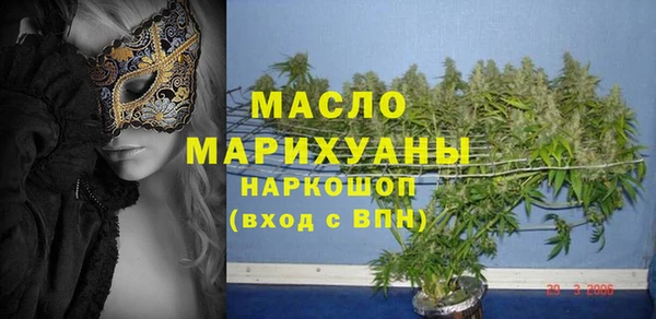 гашик Мегион