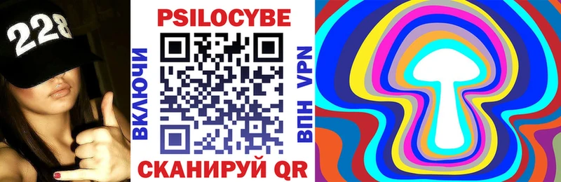 Псилоцибиновые грибы мицелий Чайковский