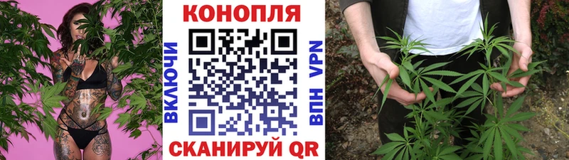 Канабис OG Kush omg tor Чайковский